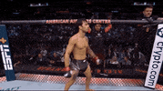 Mixed Martial Arts Sport GIF by UFC