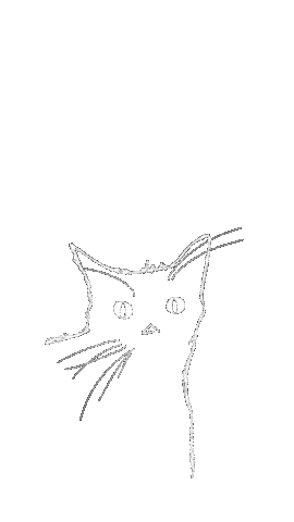 Black Cat Art Sticker by natscanfly