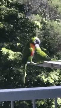 GIF by madmoiZelle