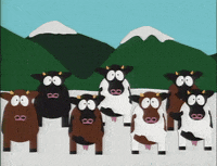 GIF by South Park 