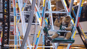 csu rams GIF by Colorado State Rams