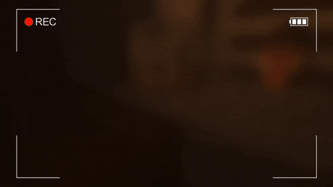 F1F4444 giphyupload GIF