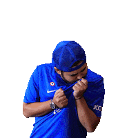 Tmj Sticker by Johor Southern Tigers