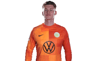 Oh No Football Sticker by VfL Wolfsburg