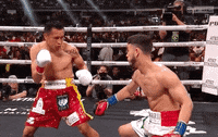 Sport Boxing GIF by SHOWTIME Sports