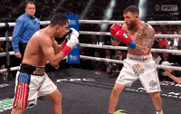 Sport Boxing GIF by SHOWTIME Sports