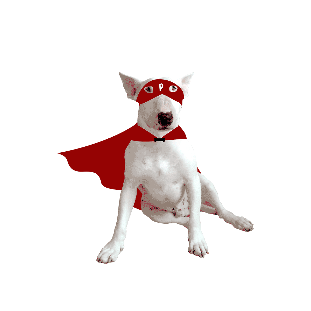 pherroes giphyupload dog book libro Sticker
