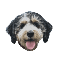 Rosie Sticker by Ardent Dog