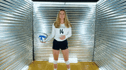 Toledo Volleyball GIF by Toledo Rockets