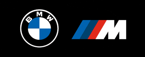 BMWSA giphyupload spinning drift mzansi GIF