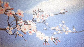 Plum Blossoms Art GIF by Alice Suret-Canale