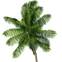 Magnum Pi Sticker by NBC