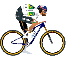 Henrique Avancini Racing Sticker by Little James