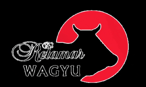WagyuRetamar giphygifmaker carne wagyu wagyuretamar GIF