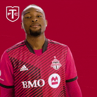 Major League Soccer No GIF by Toronto FC