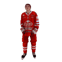 U18 Sticker by StjernenHockey