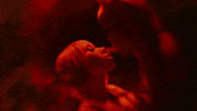 Sin Miedo Don Toliver GIF by Kali Uchis