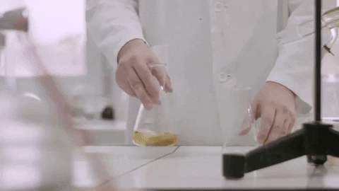 robwhisman giphygifmaker GIF