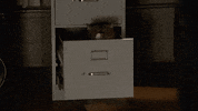 Cat Fox GIF by New Girl