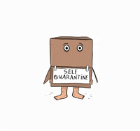 ghazalqadri  GIF