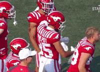 Canadian Football GIF