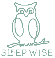 Night Owl Sticker by Sleep Wise Consulting