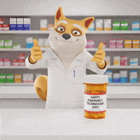 Happy Shiba Inu GIF by Doge Pound