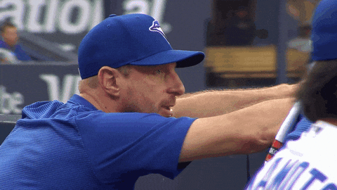 Blue Jays Baseball GIF by Toronto Blue Jays