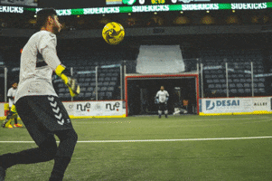 DallasSidekicks volley goalie dallas sidekicks dallassidekicks GIF