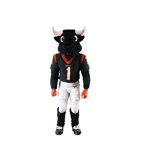 Football Flying Sticker by Houston Texans