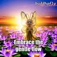 Peace Glow GIF by BuddhaFlyJourney
