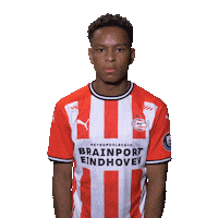 Football Soccer Sticker by PSV