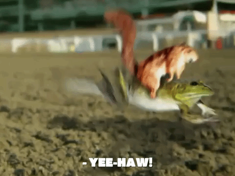 season 7 the play's the thing GIF by SpongeBob SquarePants