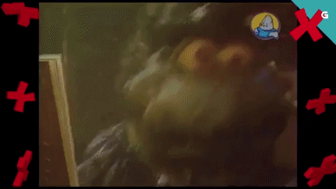 Xabarin Tvg GIF by TVGalicia