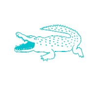 Miami Alligator Sticker by Rakastella