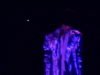 prince little red corvette GIF