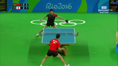 GIF by TVP.PL