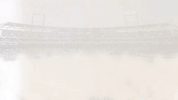 creighton bluejays GIF by Creighton University Athletics