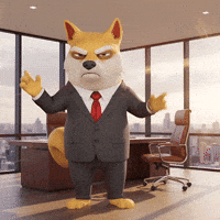Shiba Inu What GIF by Doge Pound
