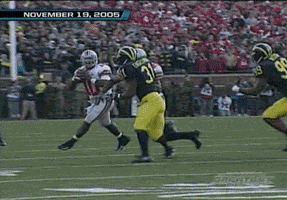 Ohio State Win GIF by Ohio State Athletics