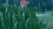 Grass Sneak GIF by BANDAI NAMCO