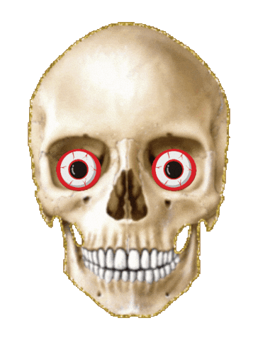 SouthBronxNative giphyattribution skull Sticker