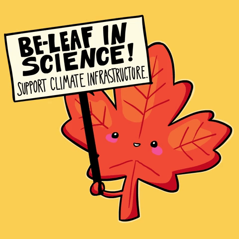 Be-leaf In Science