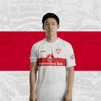 Football Mic Drop GIF by VfB Stuttgart