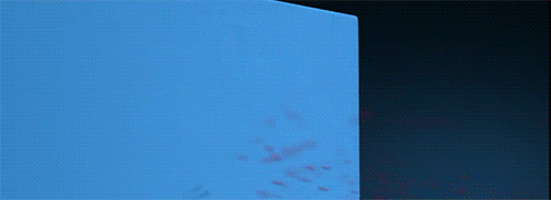 art dogs GIF by Digg