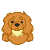 cavalier king charles spaniel dog Sticker