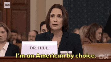 news impeachment impeachment inquiry opening statement fiona hill GIF