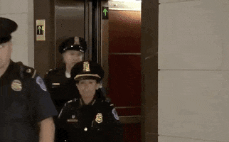 impeachment inquiry fiona hill GIF