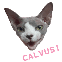 Cat Sphynx Sticker by happycat