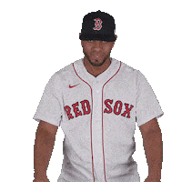 Red Sox Baseball Sticker by Boston Red Sox